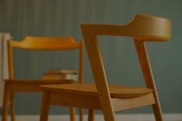 Éco-responsabilité en déco : astuces pour un intérieur durable