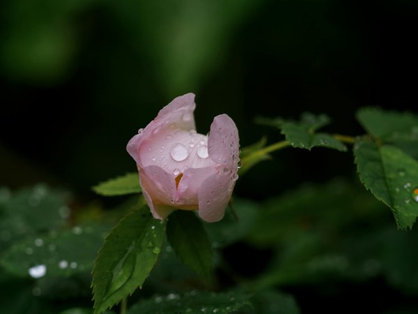 Comment améliorer son sommeil sans remplacer son matelas ?