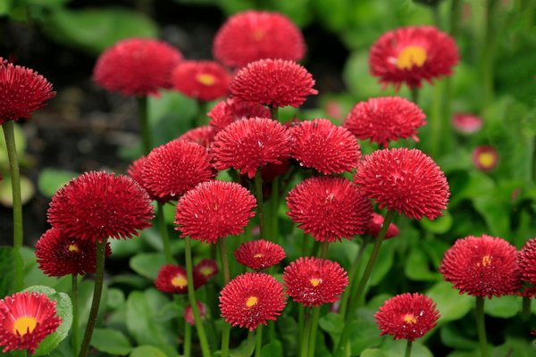 L'importance de l'assurance habitation à angers pour votre protection