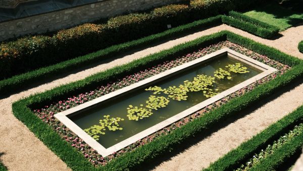 Bordurette : des bordures de jardin durables et élégantes