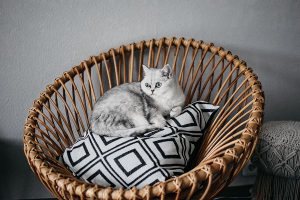 Comment sont façonnés les meubles en rotin ?