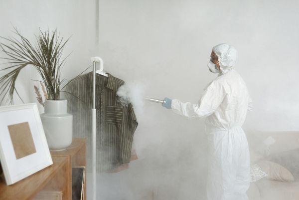 Désinsectisation, dératisation, désinfection des nuisibles toulouse : des solutions écologiques et efficaces