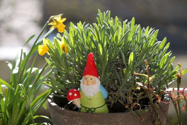 Fournisseur nain de jardin : sublimez votre espace vert