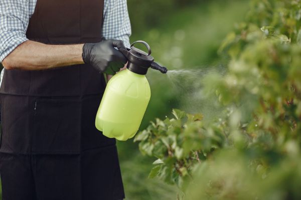 L'efficacité de l'anti nuisible bio pour un environnement sain