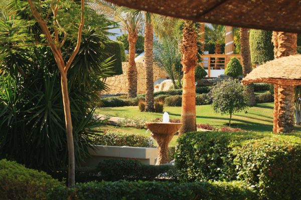 Paysagiste pau : transformez votre jardin en oasis verte