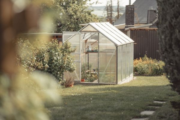 Tout savoir sur l'utilisation d'une serre de jardin efficace